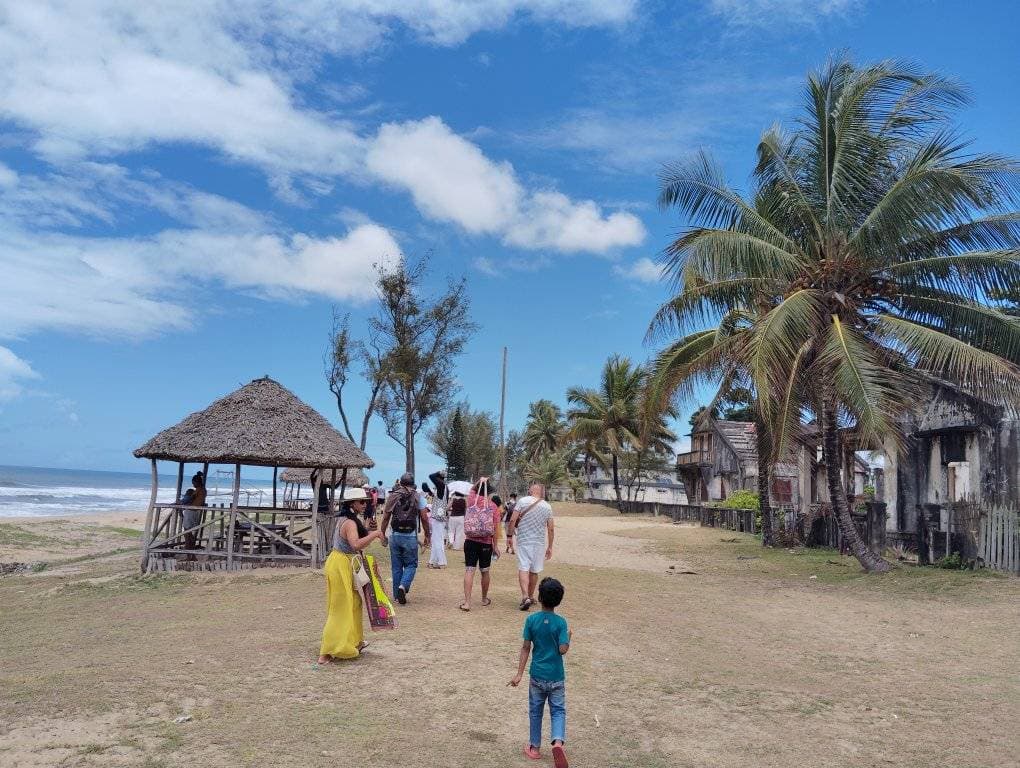 Manambato - Image 11