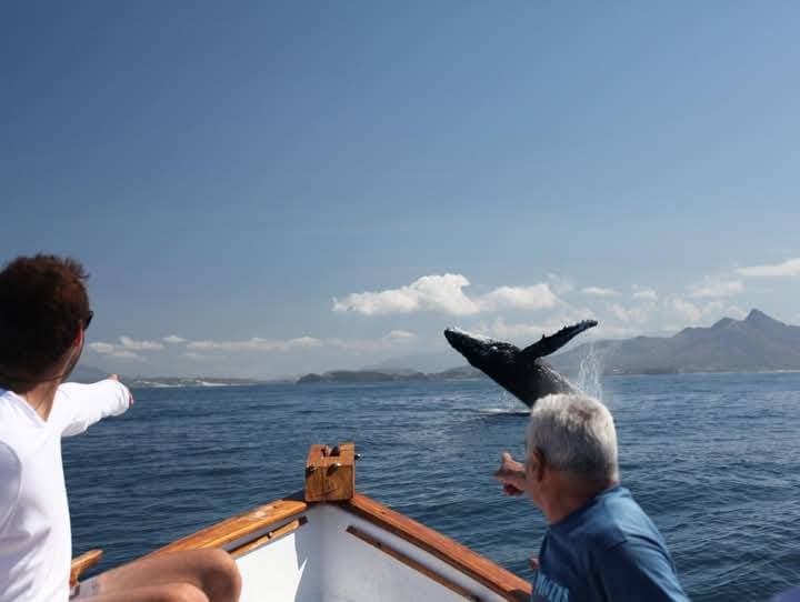 Le Grand Sud - Image 1